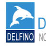 Autoservizi Delfino