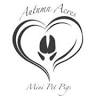 Autumn Acres Mini Pet Pigs