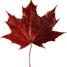 Autumn Lake RV Park