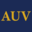 The American University in Vietnam (AUV)