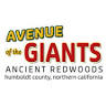 Avenue of the Giants North Entrance