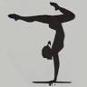 Axis Gymnastics Academy