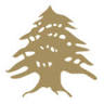 Aya Lebanese Cuisine South Wimbledon