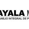 Ayala MIP