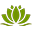 AYURNOVA
