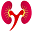 Dr M R Patil - Nephrologist in hubli, Kidney specialist doctor in hubli