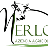 Azienda Agricola Merlo s.s.a di Merlo Tiziana e Cristina