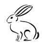 Black Rabbit Yoga