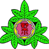 Nogi Elementary School