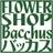 flower shop Bacchus