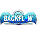 A1 Back Flow Testing