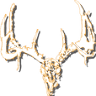 Backwoods Trophy Outfitters