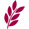 Wimmer GmbH & Co. KG