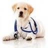 Baeyens Hauk Veterinary Hospital