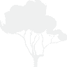 Bagden Wood Electrical Ltd