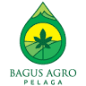 Camping D'Agro