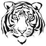 Tiger Bowl