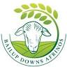 Bailup Downs Afrinos