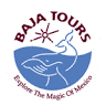 Snorkeling Cabo Baja Tours