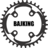 BAJKING, z.s.