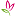 Women's Health & Hormones - Naturopath - Mornington Peninsula - Emma Stimpson