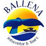 Ballena Infocenter