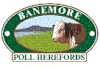 Banemore Herefords