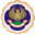 The Institute of Chartered Accountants of India