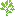 Banora Point Psychology