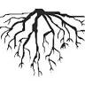 Bare Roots Wax Co