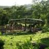 Barking Horse Farm