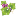 Nazdrave