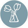 Base Spa & Wellness