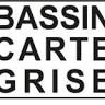 Bassin Carte Grise