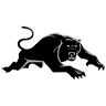 Panthers Bathurst