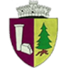 Primăria Băuţar
