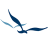 Bayswater Family Practice