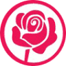 Rosa Store