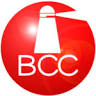 Boston Clinical Consulting