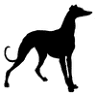 Black Dog Coffeehouse