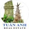 Bđs Tuấn Anh