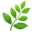The Beach Plum Company