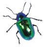Beadles Gemstones, Crystals, Beads & Jewelry