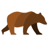 Bear River Family Dental