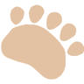 Lil’ Bear
