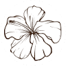 Aloha Spa - Beauté Amincissement MODOLOGIE