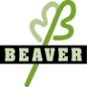 Beaver Creative Environments