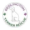 Bedlington Terrier Rescue