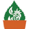 Bedwen Plants
