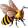 Bee Line Transport Inc